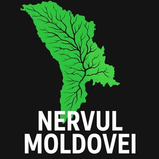 Telegram profile photo for Nervul Moldovei