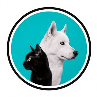 Telegram profile photo for Хвостики ищут дом!❤️