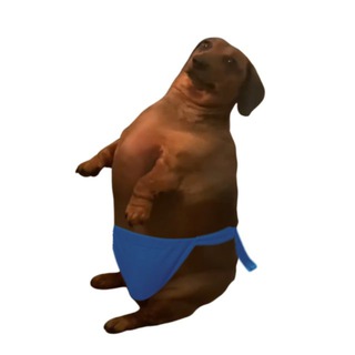 Telegram group profile photo for $SUBO CTO