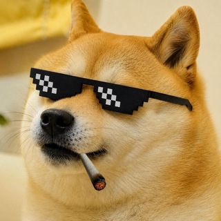 Telegram profile photo for Dogesh King