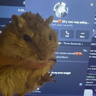 Telegram profile photo for героиновые припадки