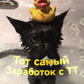 Telegram profile photo for Тот самый заработок с тт