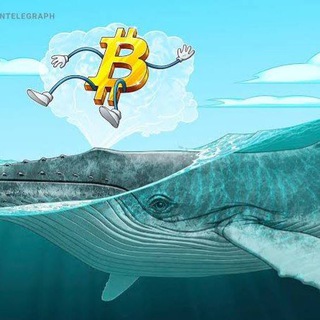 Telegram profile photo for Whale Pw®