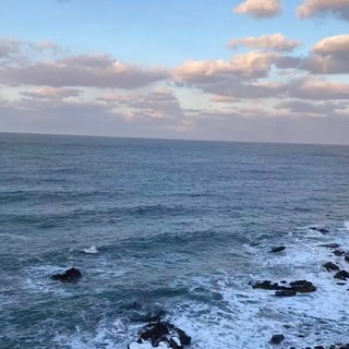Telegram profile photo for 山东 【烟台 威海】出击反馈榜