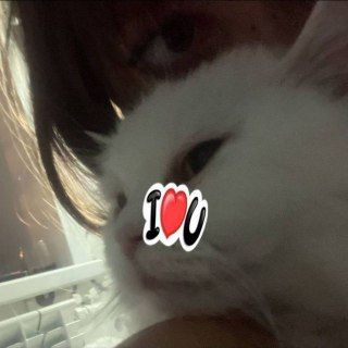 Telegram profile photo for vlad.com