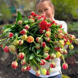 Telegram profile photo for buketkrasivo_seasonsflowers