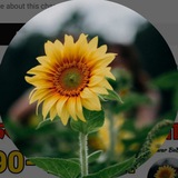 Telegram profile photo for गली देसावर सट्टा किंग