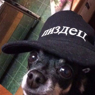 Telegram profile photo for Здесь должны быть стикеры