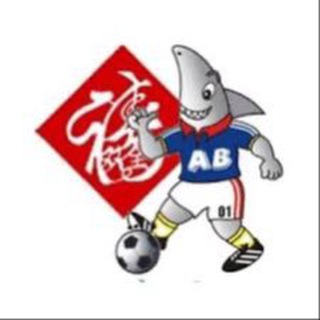 Telegram profile photo for ASIAN BOOKIE