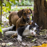 Telegram profile photo for Таксисты в Тиндере