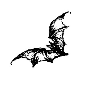 Telegram profile photo for stereond.