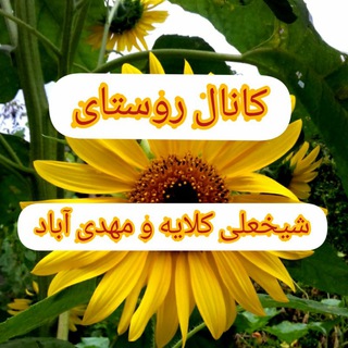 Telegram profile photo for شیخعلی کلایه