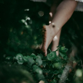 Telegram profile photo for استخوان سَـــبز🌿