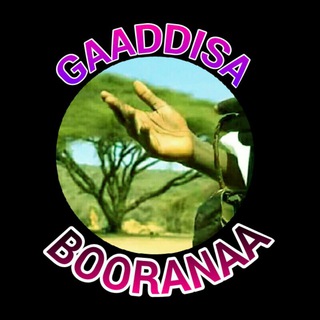 Telegram group profile photo for GAADDISA BOORANAA