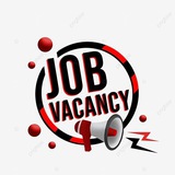Telegram profile photo for All India Privet Jobs