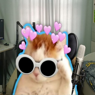 Telegram profile photo for Nikkat и точка