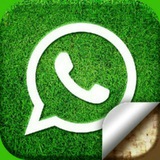Telegram profile photo for WHATSAPP VIDEO STATUS