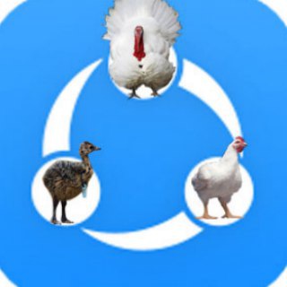 Telegram profile photo for طیوران صنعت ایران