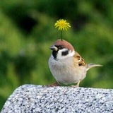 Telegram profile photo for касек