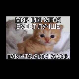 Telegram profile photo for Незнакомец