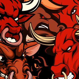 Telegram profile photo for Bull&Bear