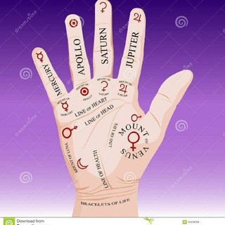 Telegram profile photo for Palmistry free reading🔮🌕🪐🌙