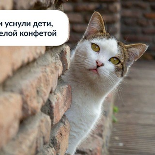 Telegram profile photo for Показы рыбов