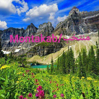 Telegram profile photo for منتخب/montakhab