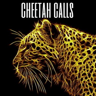 Telegram profile photo for 🐆Cheetah calls🐆