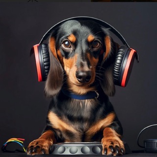 Telegram profile photo for SWAGDOG {PORTAL}