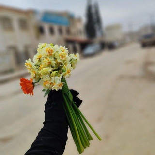 Telegram profile photo for نـورُ النِـسـوَة.