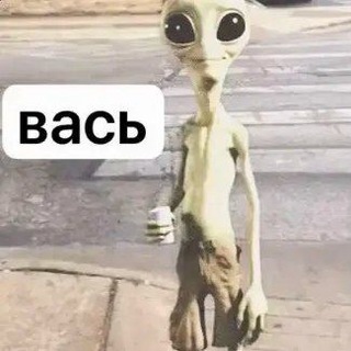 Telegram profile photo for НЕМНОГО ЛЕОРОЙ