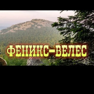 Telegram profile photo for АУДИОЗАПИСИ ЧАТОВ. Канал "ОППОЗИЦИЯ - ФЕНИКС-ВЕЛЕС" (С августа 2020г. - ....)