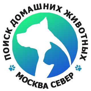 Telegram group profile photo for Инфочат САО Мск | Поиск домашних животных