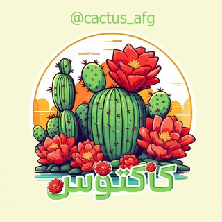 Telegram profile photo for کاکتوس 𝒄𝒂𝒄𝒕𝒖𝒔 🌵