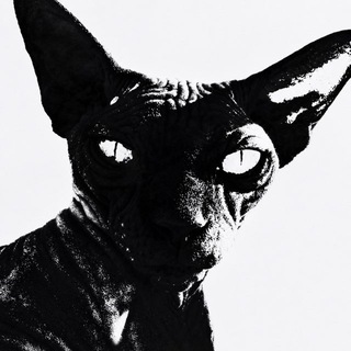 Telegram profile photo for Vvanir