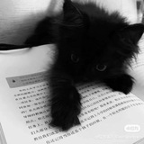Telegram profile photo for Смайлики/стикеры/символы для оформления тг/тгк