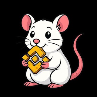 Telegram group profile photo for WhiteRat | WR
