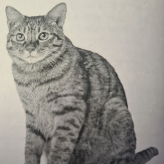 Telegram profile photo for Бэйзкэт