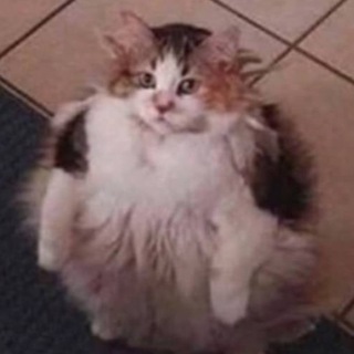 Telegram profile photo for плакали вместе