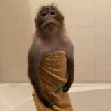 Telegram profile photo for Лучшие стикеры
