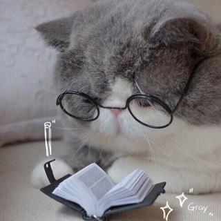 Telegram profile photo for Мудрые котики