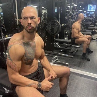 Telegram profile photo for Andrew Tate Free Group