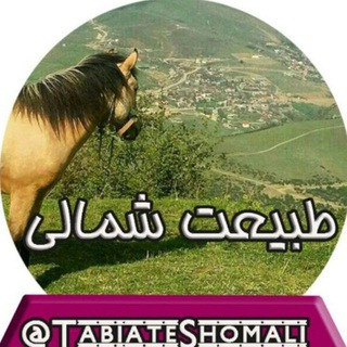 Telegram profile photo for 🌸طبیعت شمالی🌸