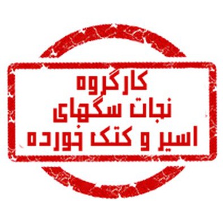 Telegram profile photo for کارگروه نجات سگهای اسیر و کتک خورده
