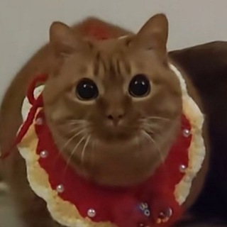Telegram profile photo for ᵐᵃʳᵃᵏᵘʸᵃ