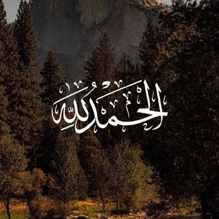 Telegram profile photo for قناة | زيد