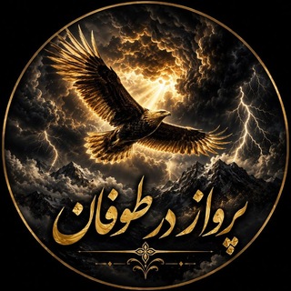 Telegram profile photo for پرواز در طــــــــــــوفان