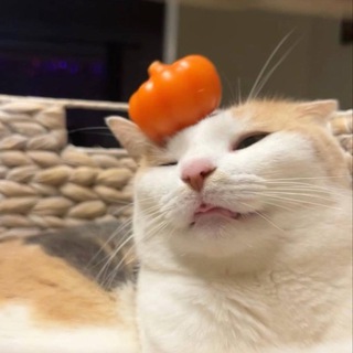 Telegram profile photo for Milly Portal