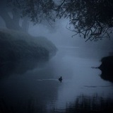 Telegram profile photo for Memories of an owl